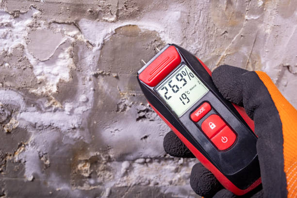 Best Mold Remediation  in Fort Carson, CO