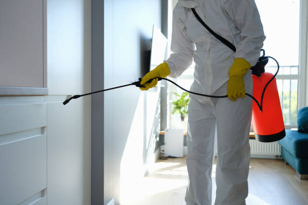 Best Black Mold Removal  in Fort Carson, CO