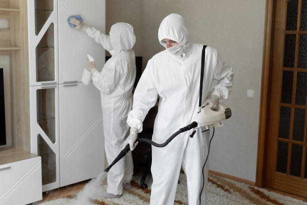 Best Toxic Mold Removal  in Fort Carson, CO