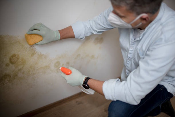 Best Mold Testing  in Fort Carson, CO