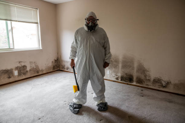 Best Mold Remediation  in Fort Carson, CO