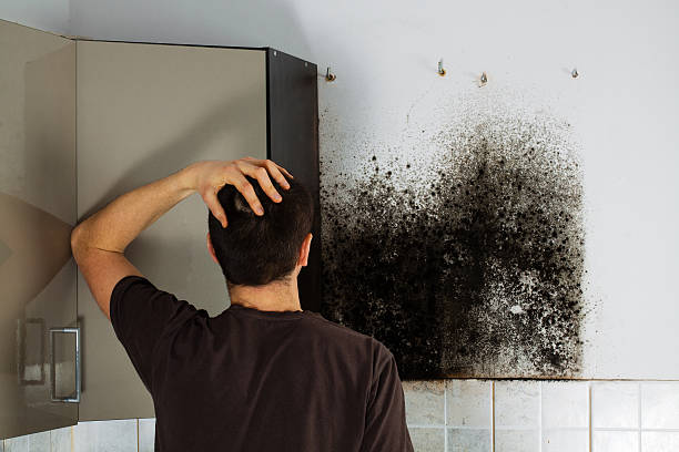 Best Office Mold Removal Services  in Fort Carson, CO